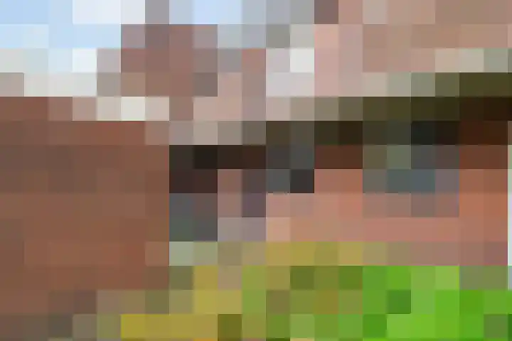 Zevenkampse Ring 495 Rotterdam thumbnail 27