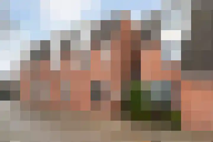 Zevenkampse Ring 495 Rotterdam thumbnail 4