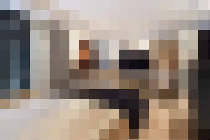 Zevenkampse Ring 495 Rotterdam thumbnail 6