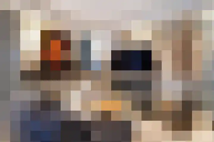 Zevenkampse Ring 495 Rotterdam thumbnail 9