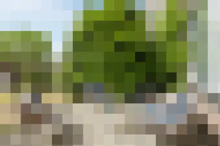 Zevenkampse Ring 588 Rotterdam thumbnail 4