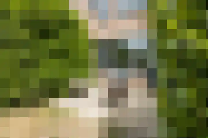 Zevenkampse Ring 588 Rotterdam thumbnail 7