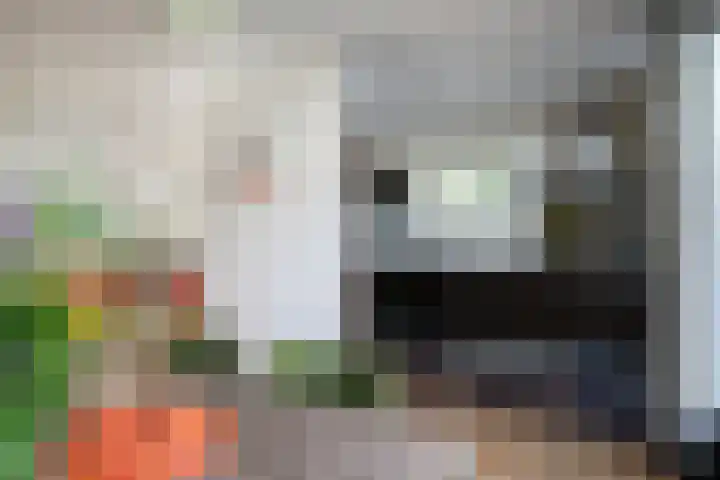 Zevenkwartieren 19 Goirle thumbnail 10
