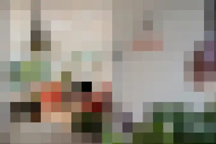 Zevenkwartieren 19 Goirle thumbnail 11