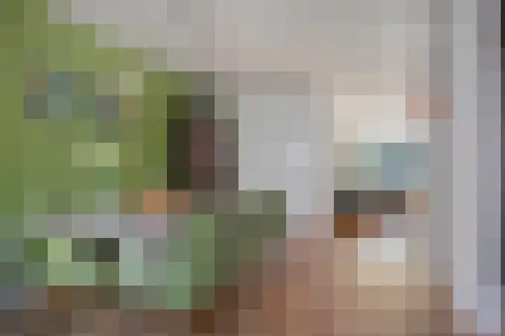Zevenkwartieren 19 Goirle thumbnail 15