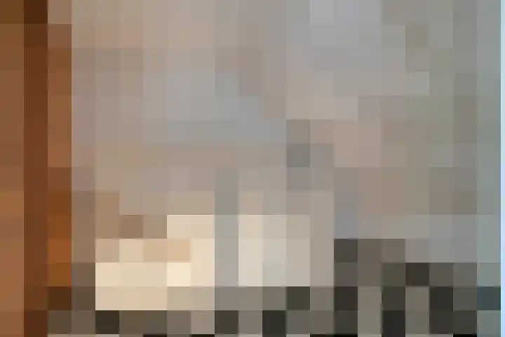Zevenkwartieren 19 Goirle thumbnail 24
