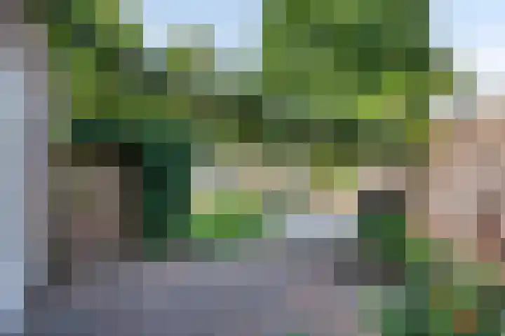 Zevenkwartieren 19 Goirle thumbnail 28