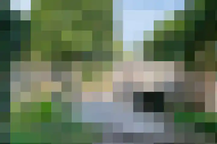 Zevenkwartieren 19 Goirle thumbnail 29