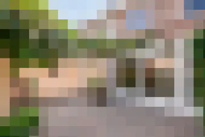 Zevenkwartieren 19 Goirle thumbnail 30