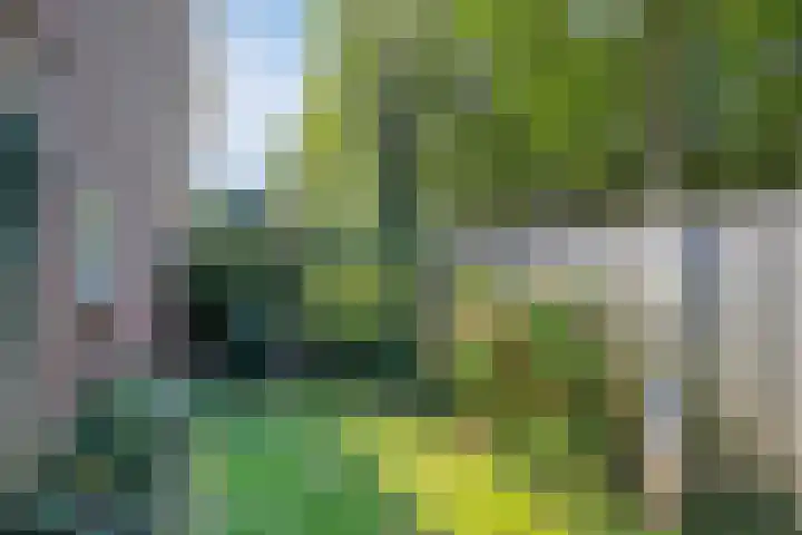 Zevenkwartieren 19 Goirle thumbnail 32