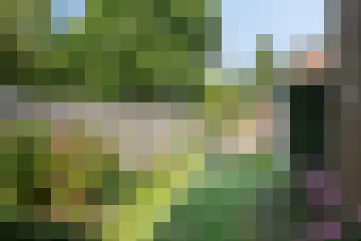 Zevenkwartieren 19 Goirle thumbnail 33