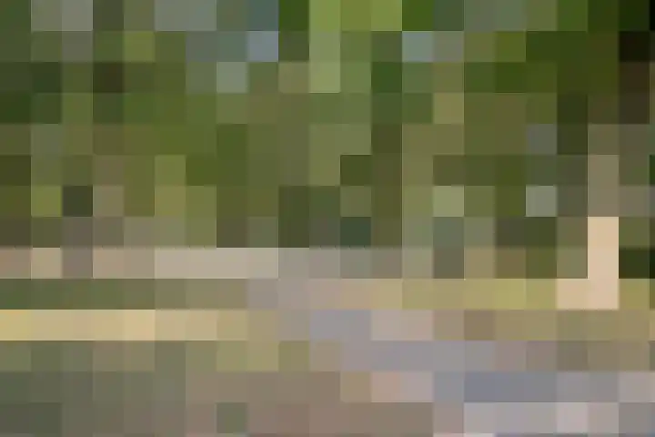 Zevenkwartieren 19 Goirle thumbnail 37