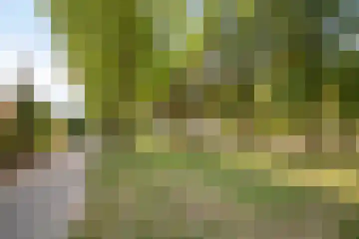 Zevenkwartieren 19 Goirle thumbnail 38