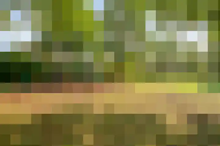 Zevenkwartieren 19 Goirle thumbnail 39