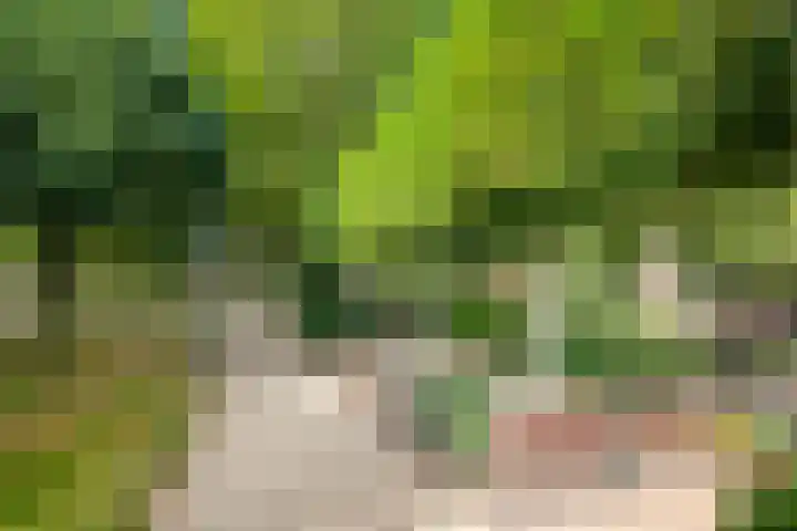 Zevenkwartieren 19 Goirle thumbnail 5