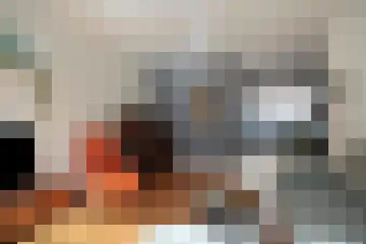 Zevenkwartieren 19 Goirle thumbnail 8