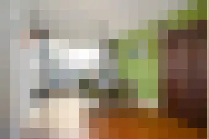 Zevenkwartieren 19 Goirle thumbnail 9