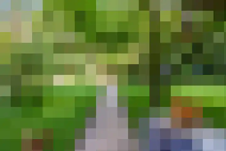 Zevenlindenweg 5 0036 Baarn thumbnail 46