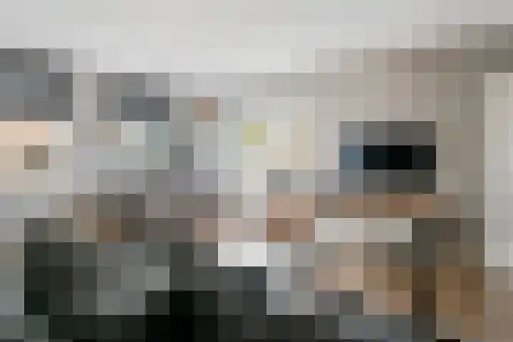 Zevenmorgen 13 Ingen thumbnail 10