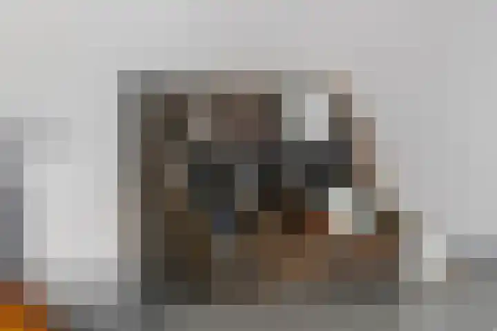 Zevenmorgen 13 Ingen thumbnail 14