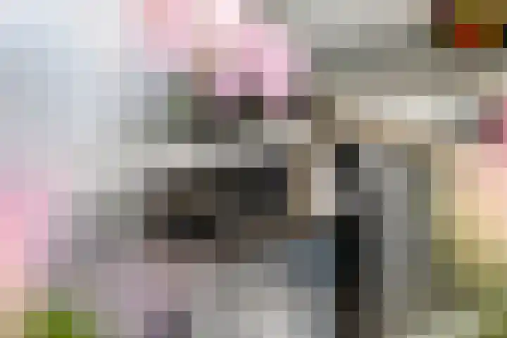 Zevenmorgen 13 Ingen thumbnail 19