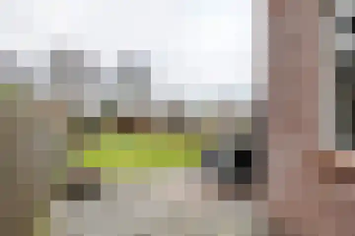 Zevenmorgen 13 Ingen thumbnail 23