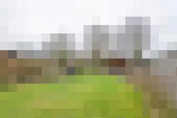 Zevenmorgen 13 Ingen thumbnail 25