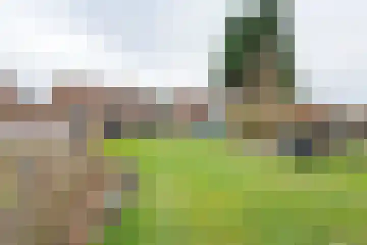 Zevenmorgen 13 Ingen thumbnail 26