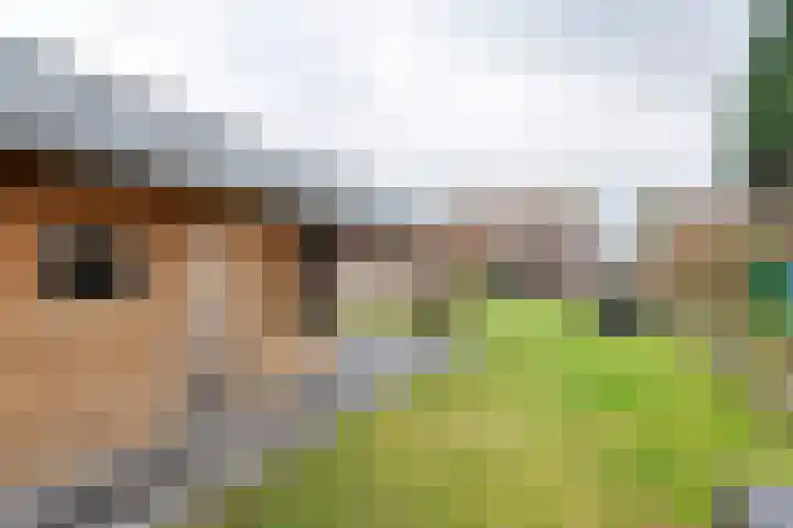 Zevenmorgen 13 Ingen thumbnail 27