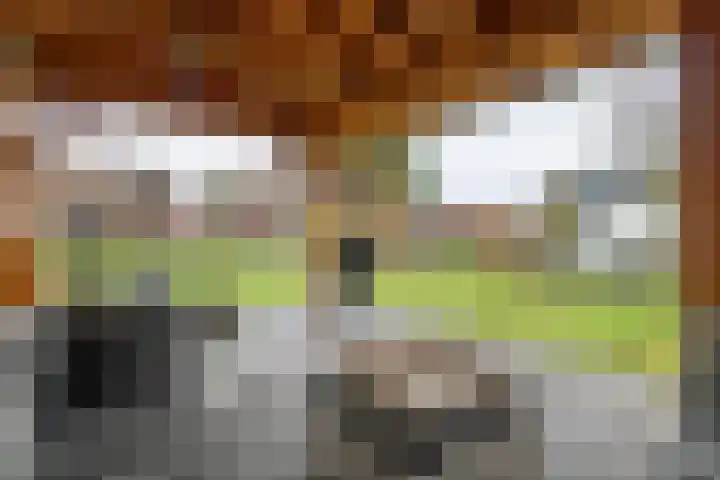 Zevenmorgen 13 Ingen thumbnail 28