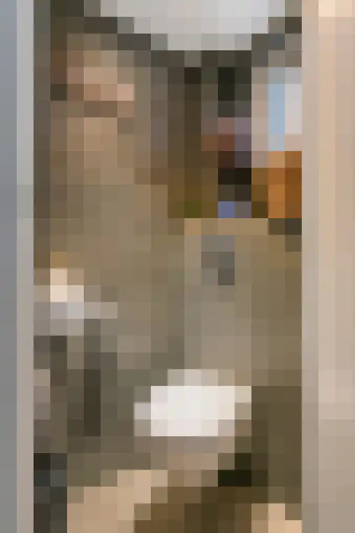 Zevenmorgen 13 Ingen thumbnail 31