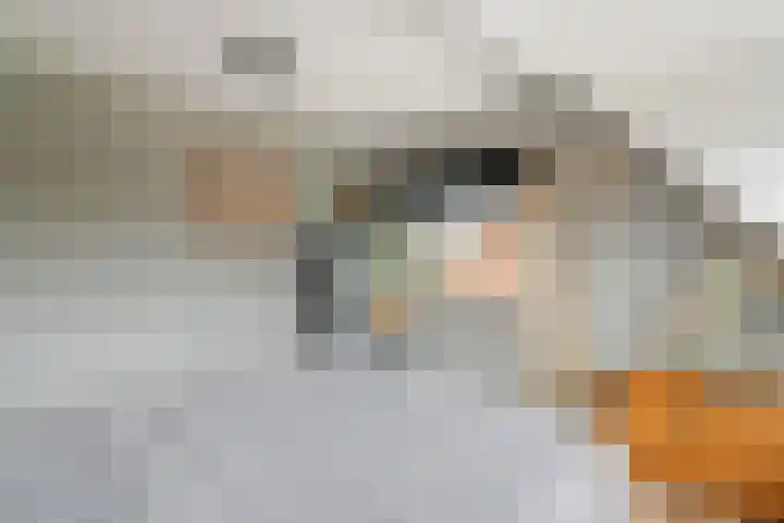 Zevenmorgen 13 Ingen thumbnail 35