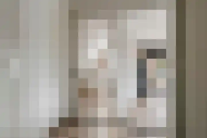 Zevenmorgen 13 Ingen thumbnail 38