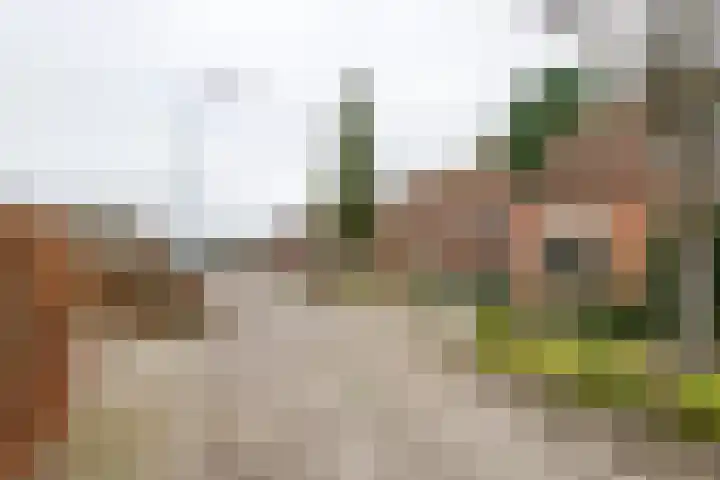 Zevenmorgen 13 Ingen thumbnail 41