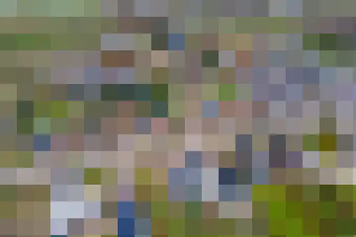 Zevenmorgen 13 Ingen thumbnail 43