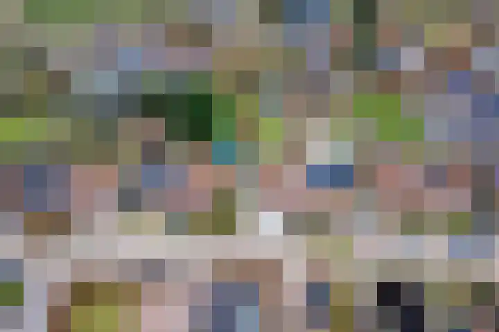 Zevenmorgen 13 Ingen thumbnail 45