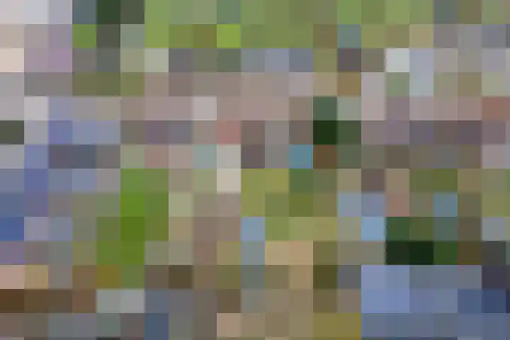 Zevenmorgen 13 Ingen thumbnail 47