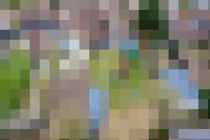 Zevenmorgen 13 Ingen thumbnail 48