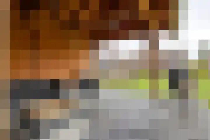 Zevenmorgen 13 Ingen thumbnail 6