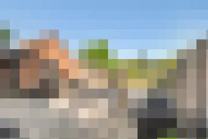 Zevenmorgen 19 Ingen thumbnail 13