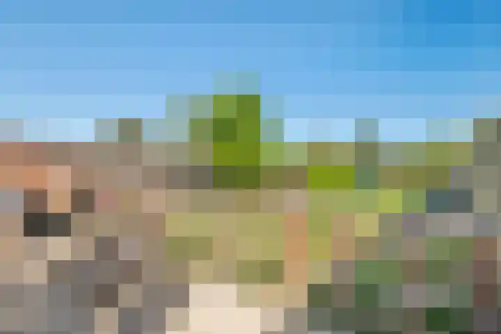 Zevenmorgen 19 Ingen thumbnail 16