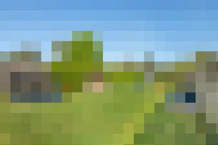 Zevenmorgen 19 Ingen thumbnail 19