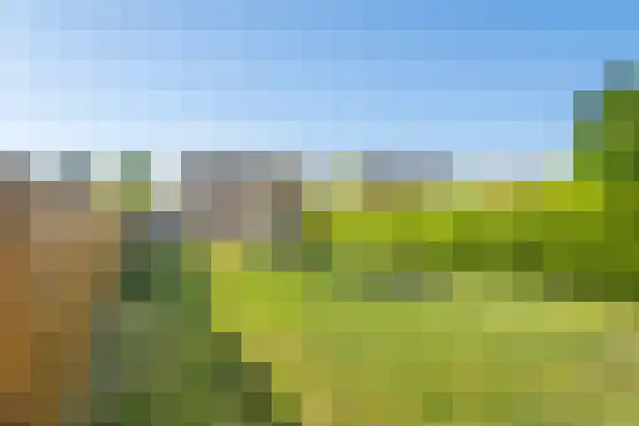 Zevenmorgen 19 Ingen thumbnail 20