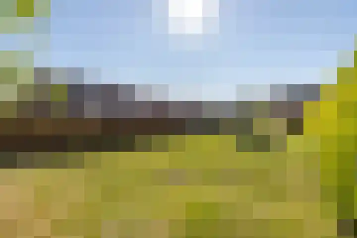 Zevenmorgen 19 Ingen thumbnail 21