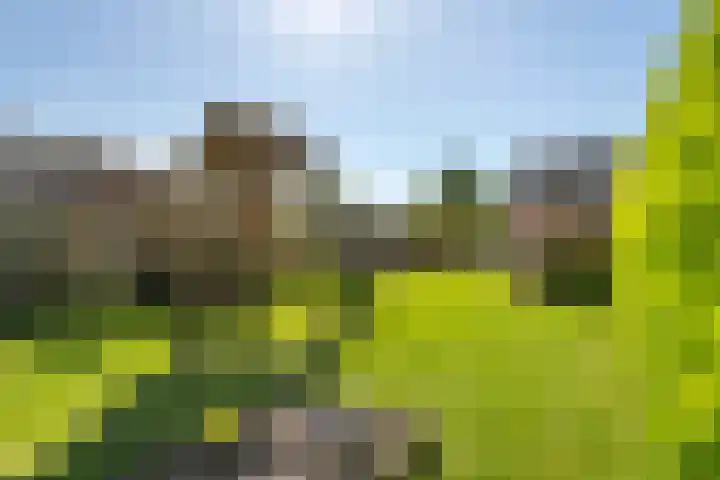 Zevenmorgen 19 Ingen thumbnail 22