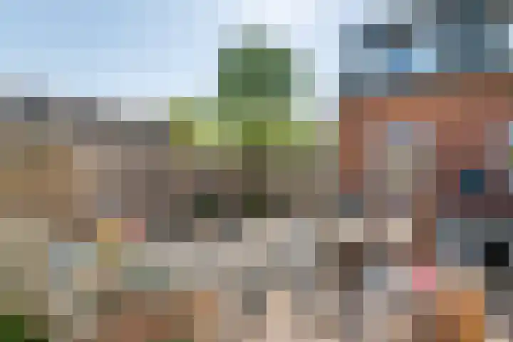 Zevenmorgen 19 Ingen thumbnail 23