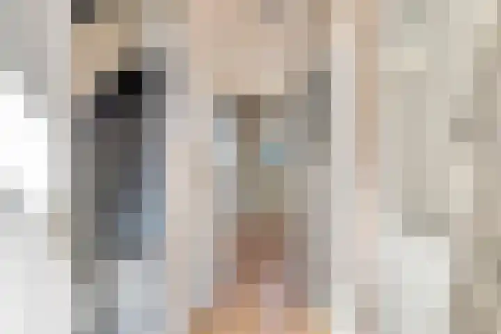 Zevenmorgen 19 Ingen thumbnail 26