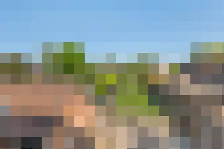 Zevenmorgen 19 Ingen thumbnail 29