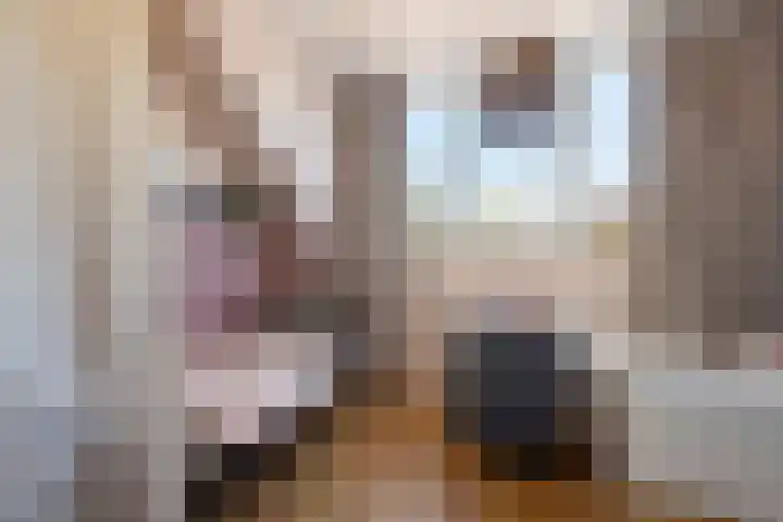 Zevenmorgen 19 Ingen thumbnail 35