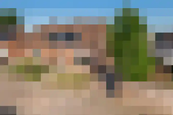 Zevenmorgen 19 Ingen thumbnail 39